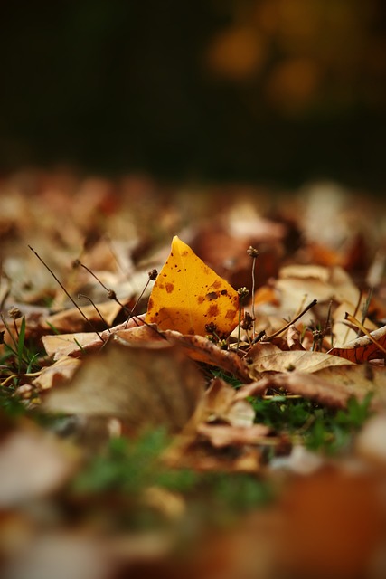 对想要在竞 对想要在竞