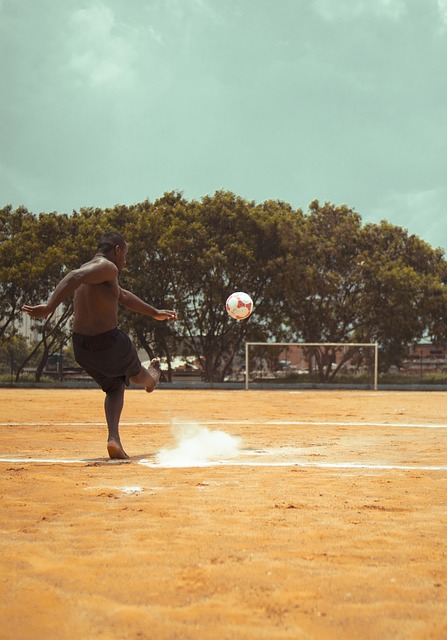 的战术谋划 的战术谋划