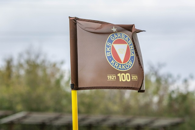 种对自我价 种对自我价